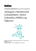 Adolygiad o Ddyletswydd Cydraddoldeb y Sector Cyhoeddus yng Nghymru: Yr Adroddiad Llawn